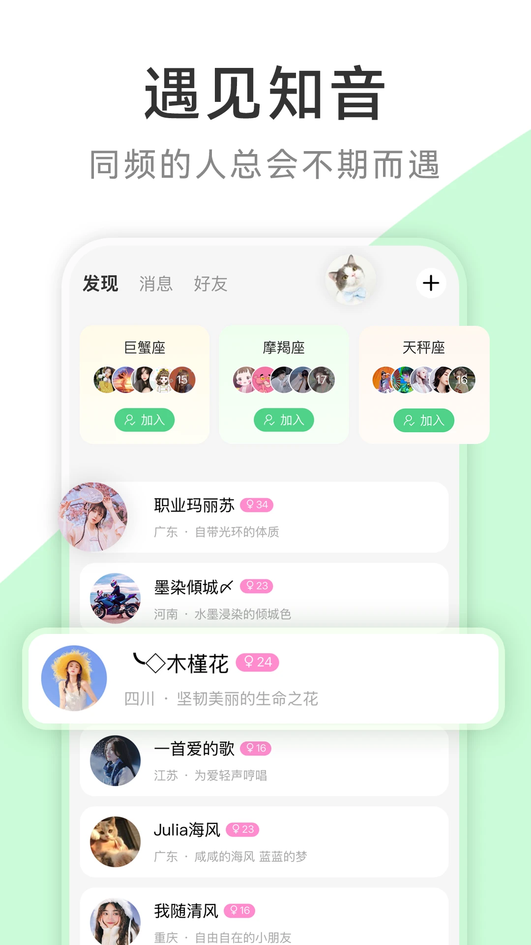 茶秘书