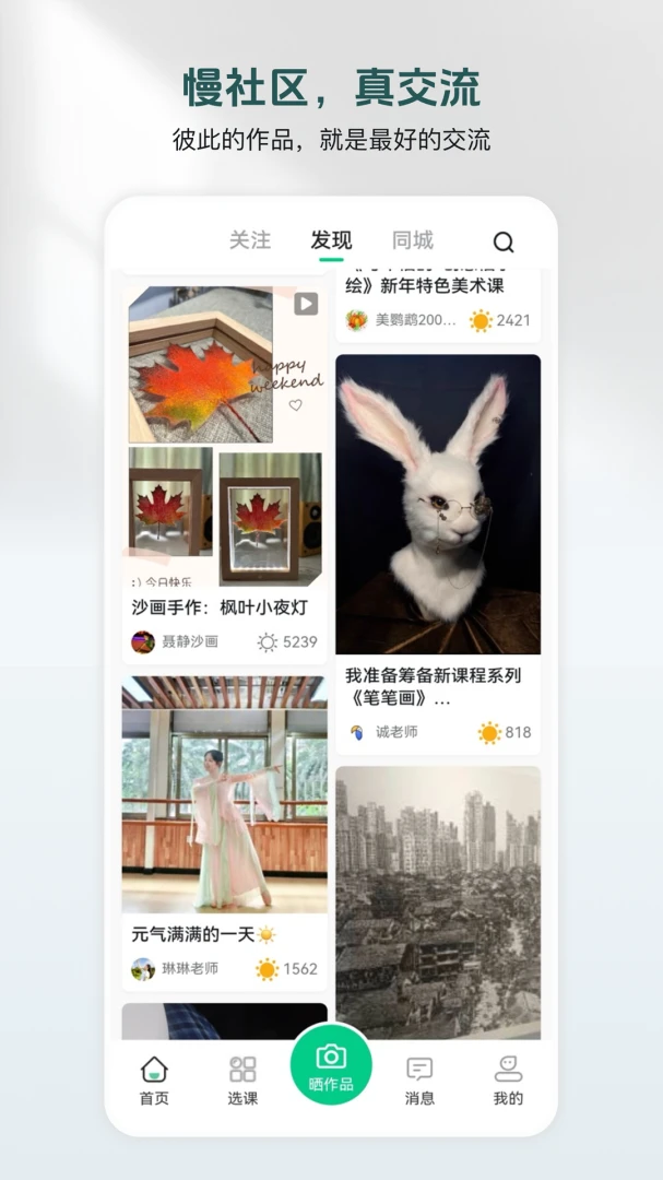 美鹦鹉