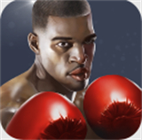 Punch Boxing安装器